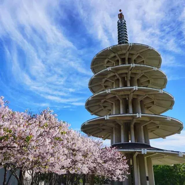 日本的和平塔